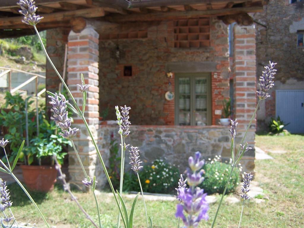La Celata Villa *